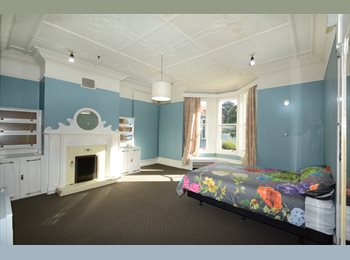  NZ - Quality furnished Accommodation, Dunedin - $165 pw