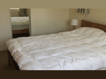  NZ - One bedroom  fully  furnished, Christchurch - $200 pw