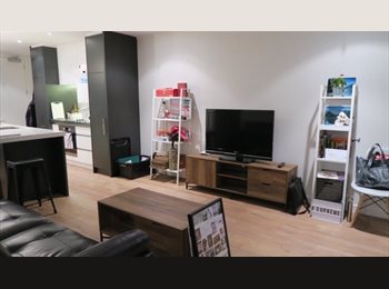  NZ - 1bedroom + 1 private bathroom, Auckland - $300 pw