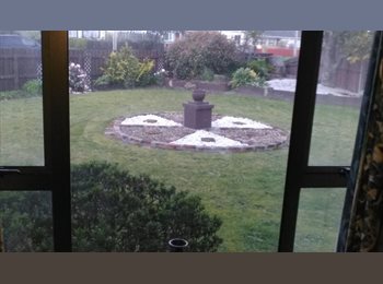  NZ - Room for rent, Christchurch - $150 pw