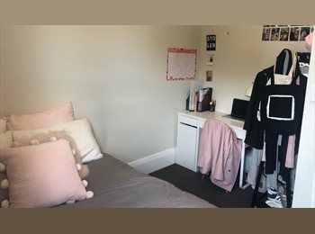  NZ - Room available for sublet this summer located on The Terrace - super central to town!, Wellington - $220 pw