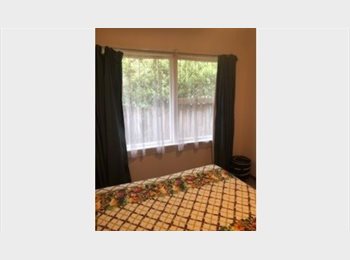  NZ - Nice Furnished Room, Christchurch - $150 pw