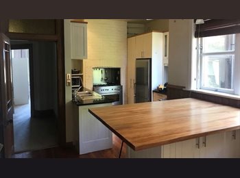  NZ - City Center- Amazing views, Dunedin - $185 pw