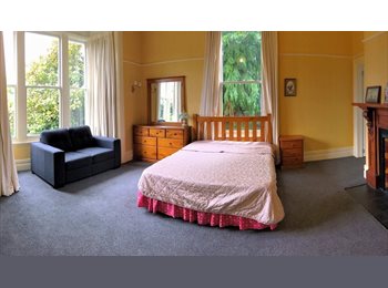  NZ - Spacious Ensuite Studio Room - Close to all locations, Dunedin - $230 pw