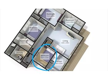  NZ - Room Available - Boarder, Hamilton - $180 pw