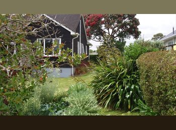  NZ - Great sized room., New Plymouth - $140 pw