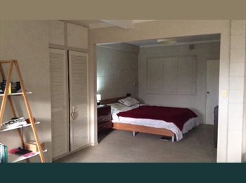  NZ - Studio apartment, New Plymouth - $340 pw
