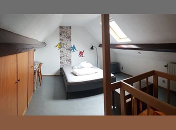 Appartager BE - Huge room in a typical BrusselsTown House, Schaerbeek Schaarbeek - 500 € pm