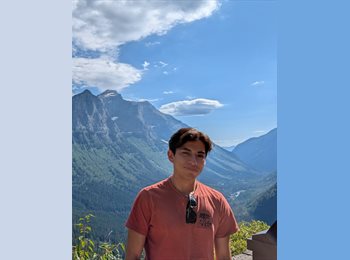 Roomgo MX - Luis Enrique Zamora Santiago  - 21 - Coyoacán