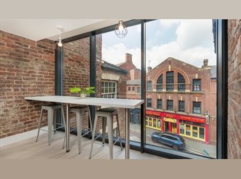 Roomgo UK - Rooms in City Centre Apartment (4AW JULY), Sheffield - £520 pcm