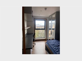 Roomgo UK - Available Now (Until August 9, 2025) Only for GIC (Glasgow International College) Students, Hillhead - £900 pcm