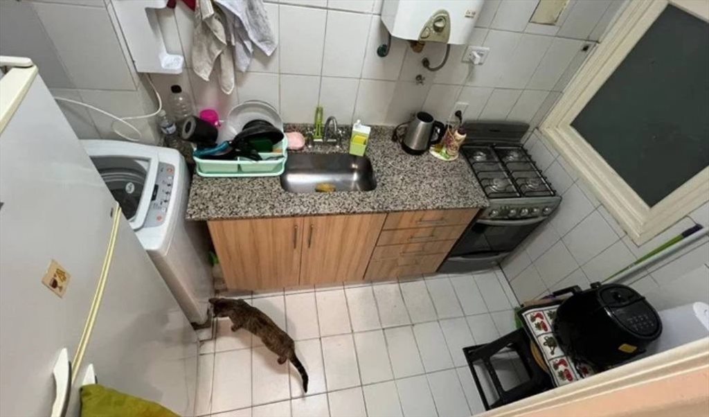 Habitación individual amplia - Charcas, Comuna 2 | Roomgo - Image 2