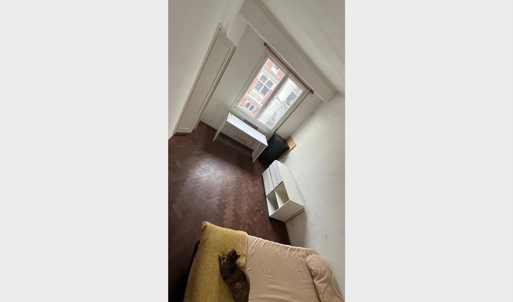 Habitación individual amplia - Charcas, Comuna 2 | Roomgo - Image 4