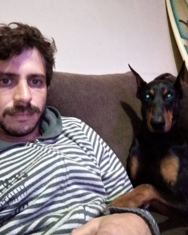 Facundo - Profesional - Hombre - Buenos Aires - Image 1