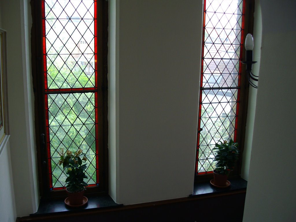 Colocation à Rue Gustave Fuss, Schaerbeek - Looking for respectful roommates | Appartager - Image 5