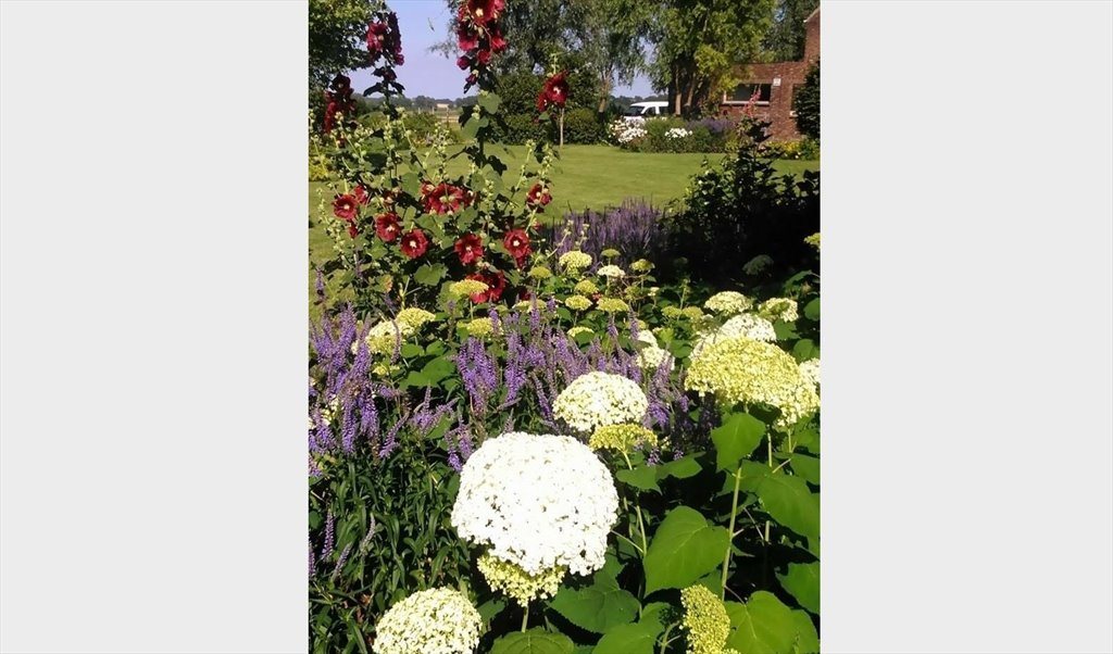 Colocation à Babelomstraat, Hoegaarden - Grote kamer / Grande chambre à la campagne | Appartager - Image 3