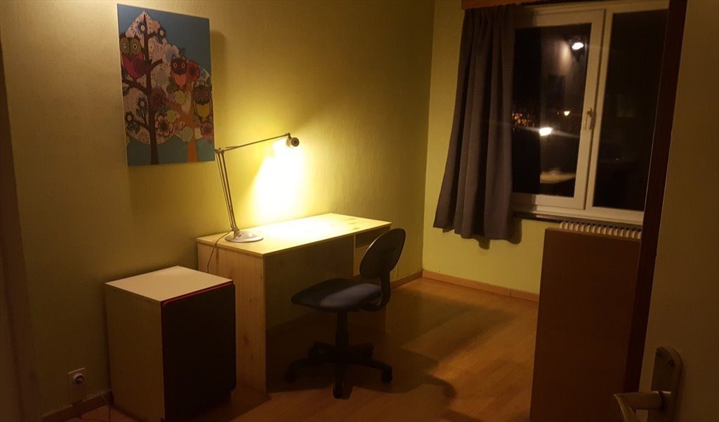 Colocation à Avenue du Paepedelle, Chaussee de Wavre-Saint-Julien/Waversesteenweg-Sint-Juliaan - Chambre disponible maintenant | Appartager - Image 2