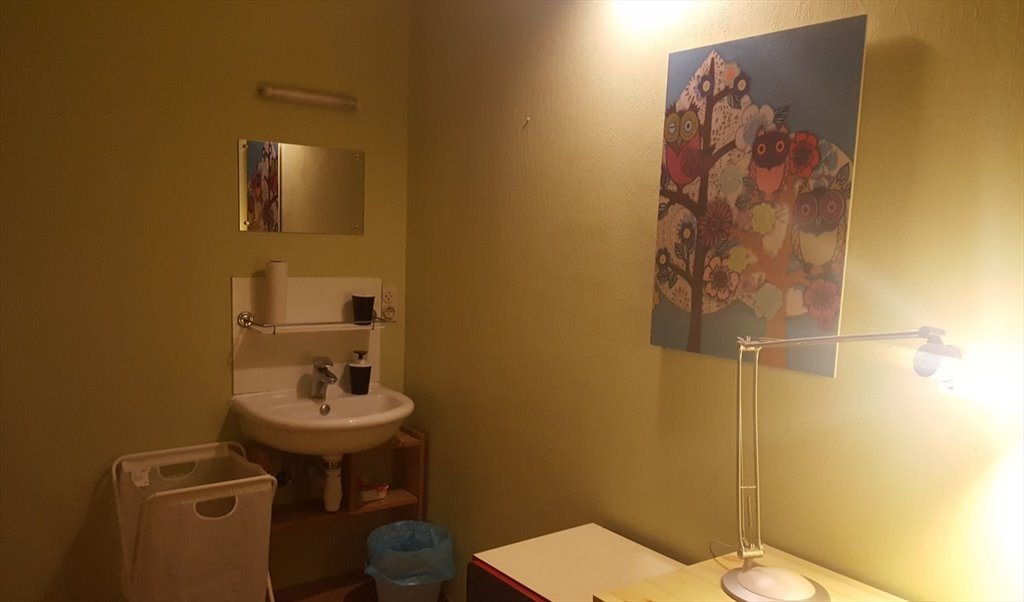 Colocation à Avenue du Paepedelle, Chaussee de Wavre-Saint-Julien/Waversesteenweg-Sint-Juliaan - Chambre disponible maintenant | Appartager - Image 3