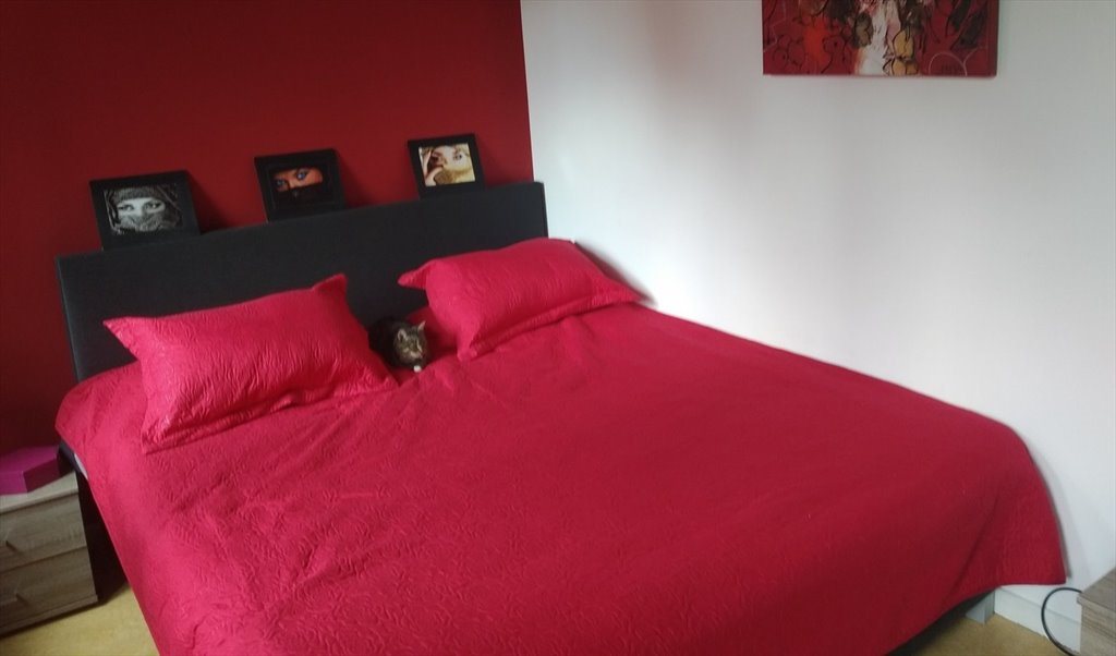 Colocation à Rue de l'Hôpital, Pentagone - Chambre meublee | Appartager - Image 2