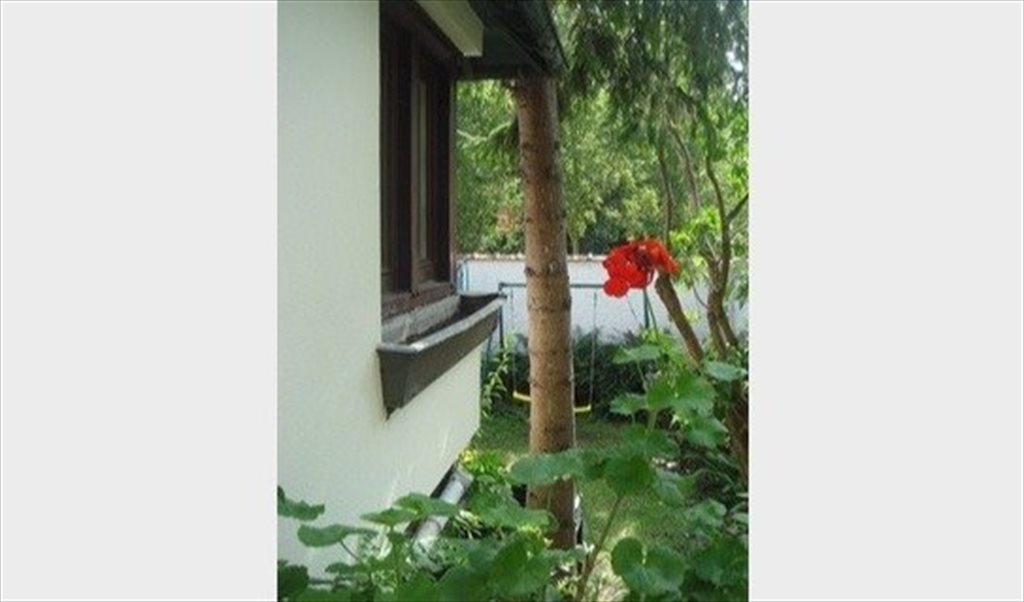 Colocation à Rue Aimé Smekens, Georges Henri - QUARTIER EUROPEEN - SPATIEUSE et LUMINEUSE MAISON | Appartager - Image 7