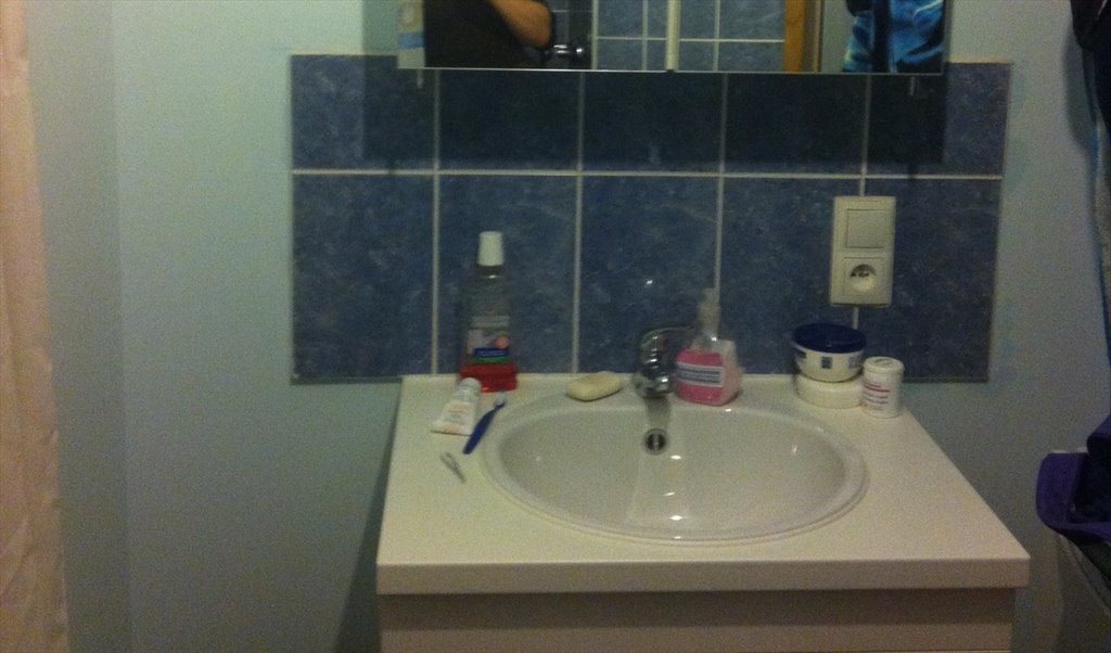 Colocation à Avenue de Versailles, Nederheembeek - Chambre colocation calme + douche &jardin | Appartager - Image 5