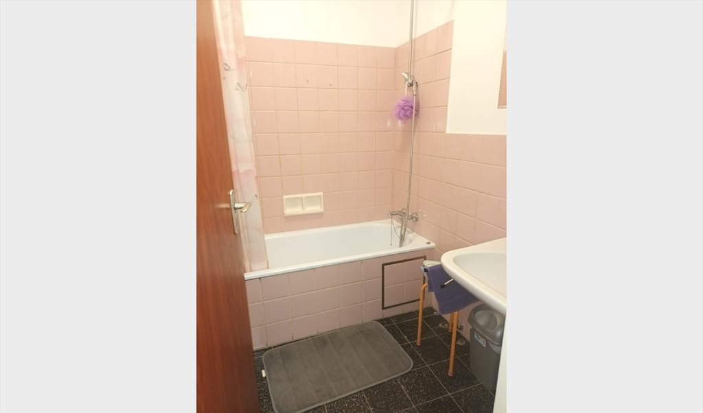 Colocation à Avenue Eugène Baie, Bizet-Roue-Ceria/Bizet-Rad-Coovi - Chambre en collocation  pour étudiant  tranquille | Appartager - Image 3