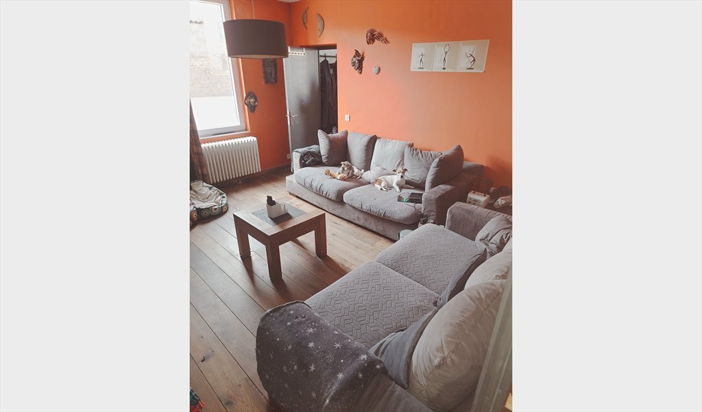 Colocation à Rue des Anglais, Jurbise - Chambres à louer Jurbise | Appartager - Image 7