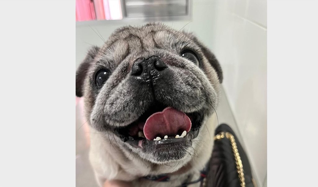 Apê próx shopping Interlagos - Quartos em Avenida Interlagos, Vila Campo Grande | Roomgo - Image 8