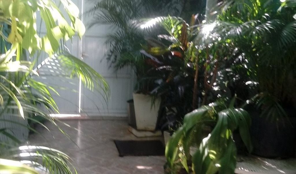 Alugo Chalé Suíte R$1.200,00 (mensal)Luz paga o que consumir+ água - Quartos em Rua Professor Santos Moreira, Condominio Girassol | Roomgo - Image 7