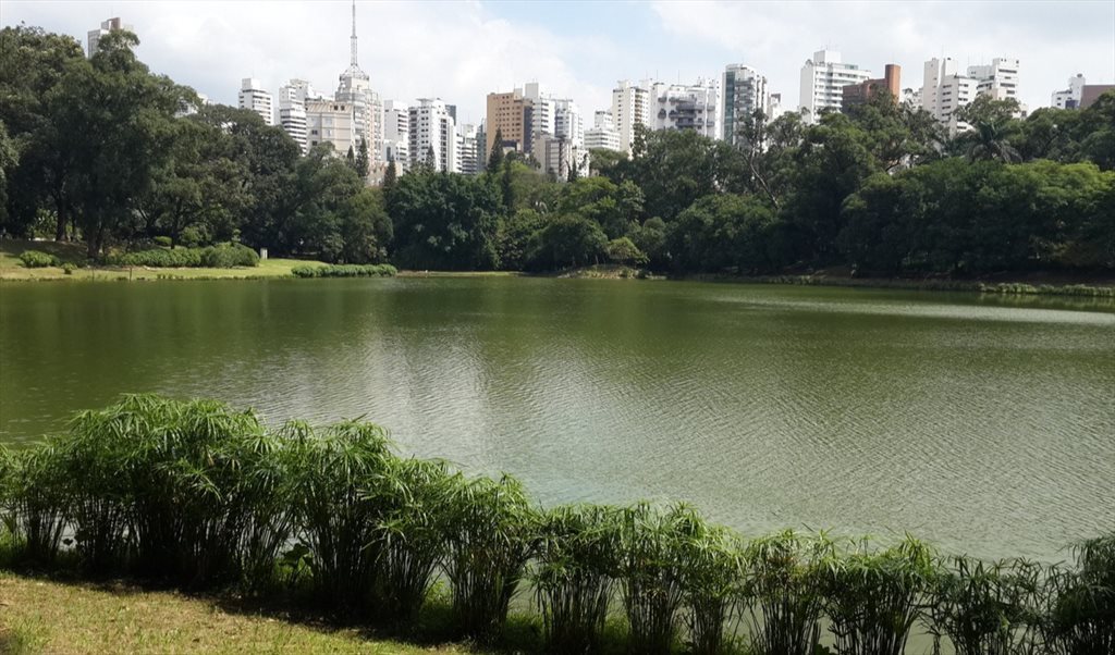Cida - Quartos em Rua Batista Caetano, Jardim Nossa Senhora Aparecida | Roomgo - Image 5