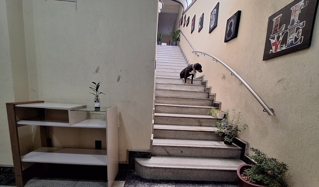 Casal COM AR, iluminado e ventilado - Quartos em Rua Conde de Linhares, Cidade Jardim | Roomgo - Image 4