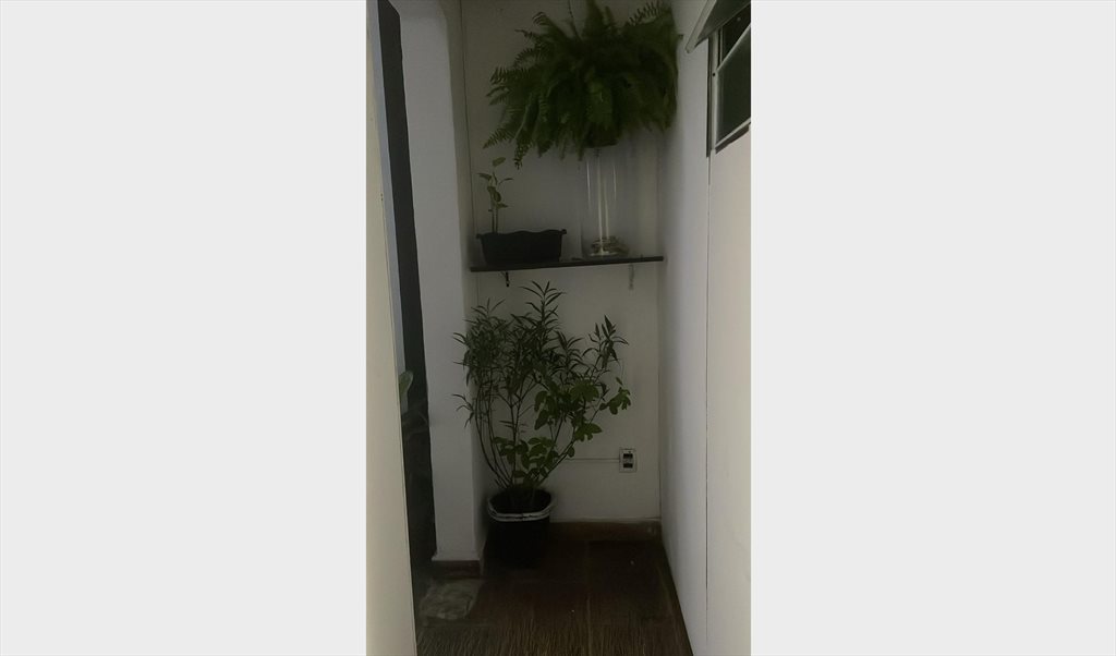 República gay - Quartos em Rua Fortunato, Vila Buarque | Roomgo - Image 4