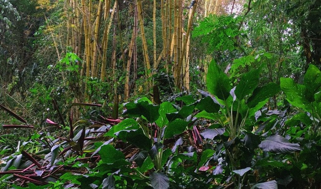 Suíte com banheiro perto do Metrô - Quartos em Rua Pompeu Loureiro, Copacabana | Roomgo - Image 3