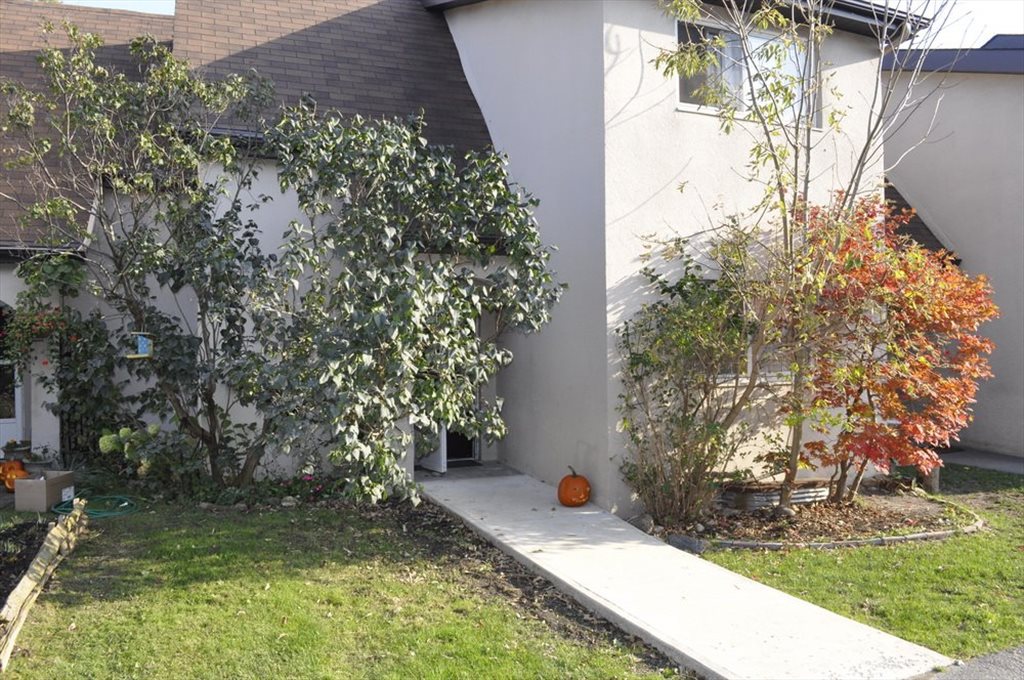 Room for rent in Valley Woods Road, North York - Super Cozy Townhouse in Great Neighbourhood - Image 2