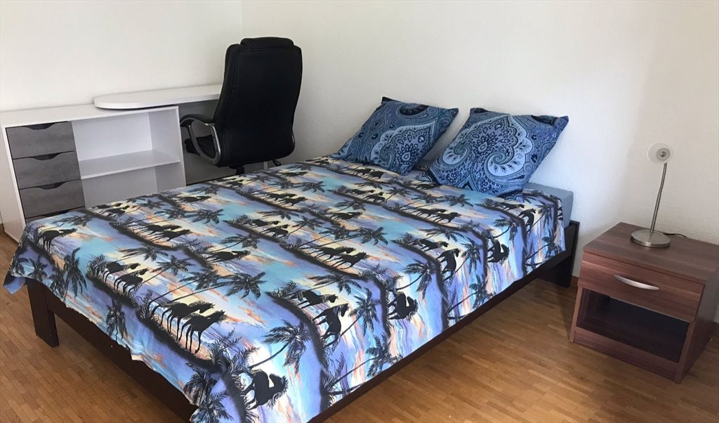 Colocation à Rue de la Servette, Servette-Poterie - chambre servette | Roomgo - Image 3