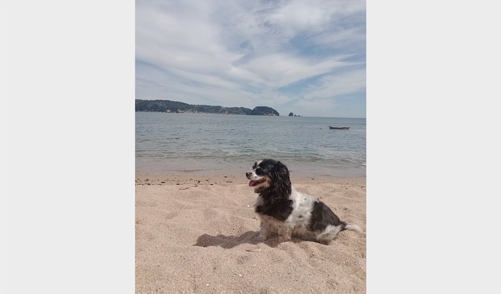 Pieza en arriendo en Dublé Almeyda, Crescente Errázuriz - Cómoda pieza en Ñuñoa a pasos del metro Monseñor Eyzaguirre | CompartoDepto - Image 7