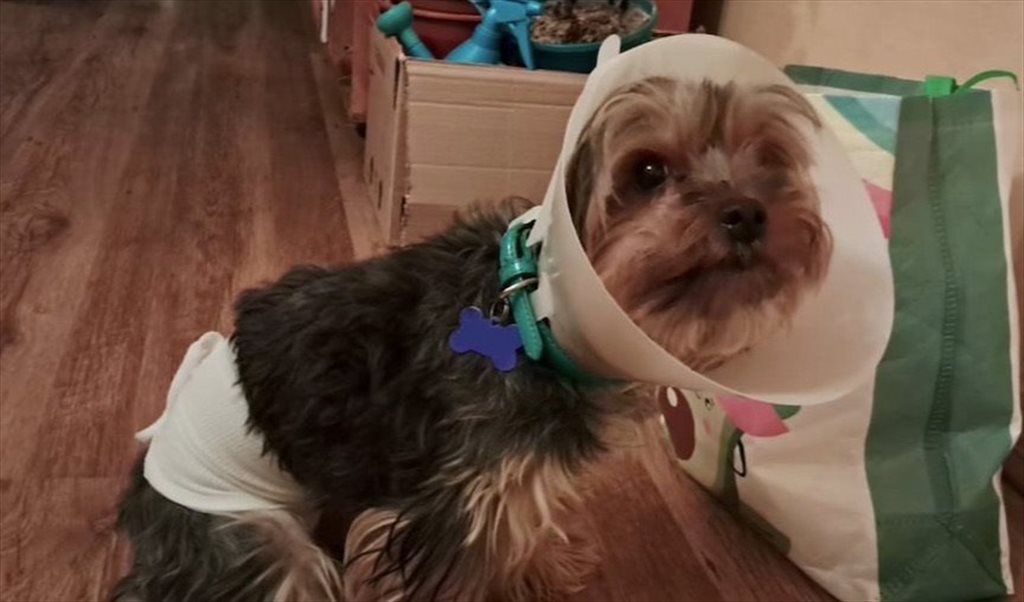 Pieza en arriendo en Diagonal Paraguay, San Isidro - Santiago Centro 3D/2B LGBT habitación | CompartoDepto - Image 2