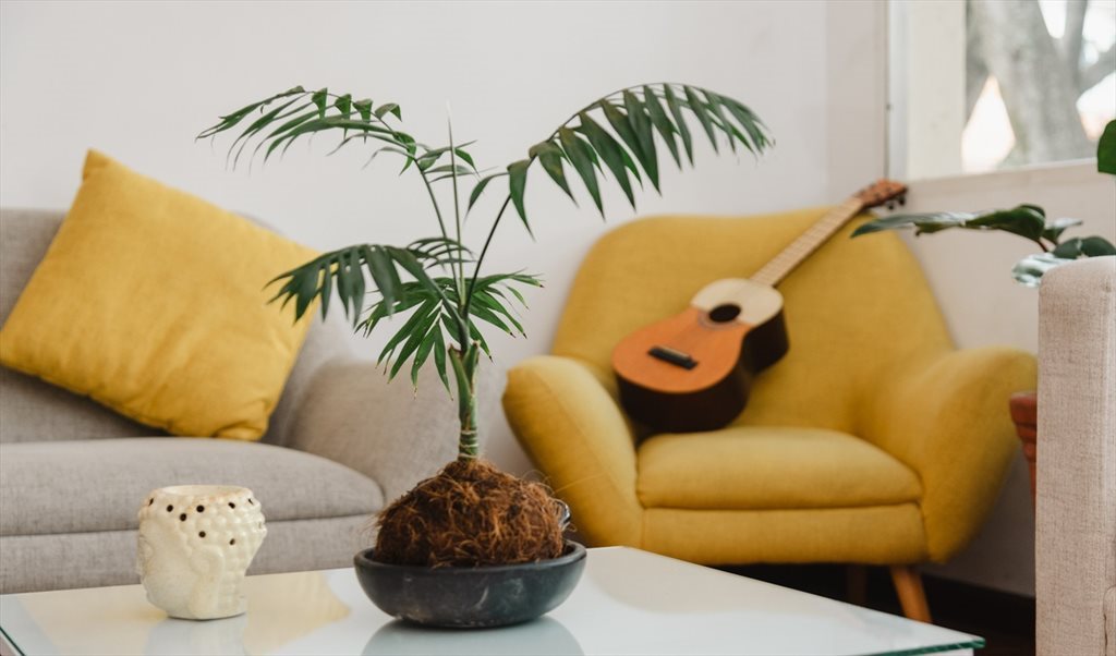 Habitacion en arriendo en Calle 48A, Estadio - Casa del Árbol | CompartoApto - Image 3