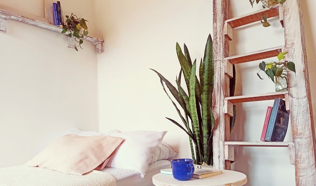 Habitacion en arriendo en Calle 37B, Simón Bolívar - Hermoso espacio con baño privado | CompartoApto - Image 2