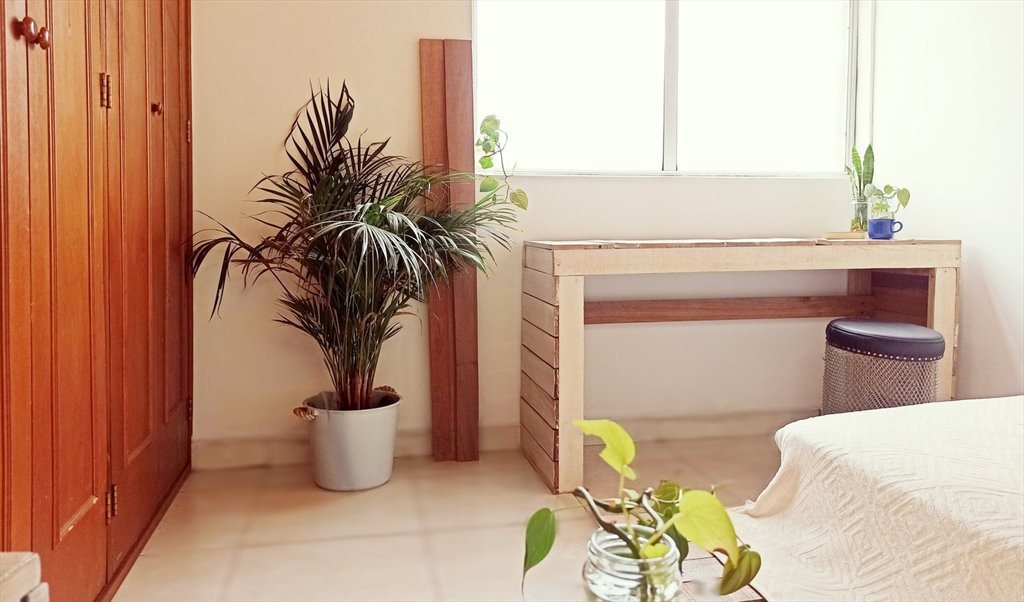 Habitacion en arriendo en Calle 37B, Simón Bolívar - Hermoso espacio con baño privado | CompartoApto - Image 3