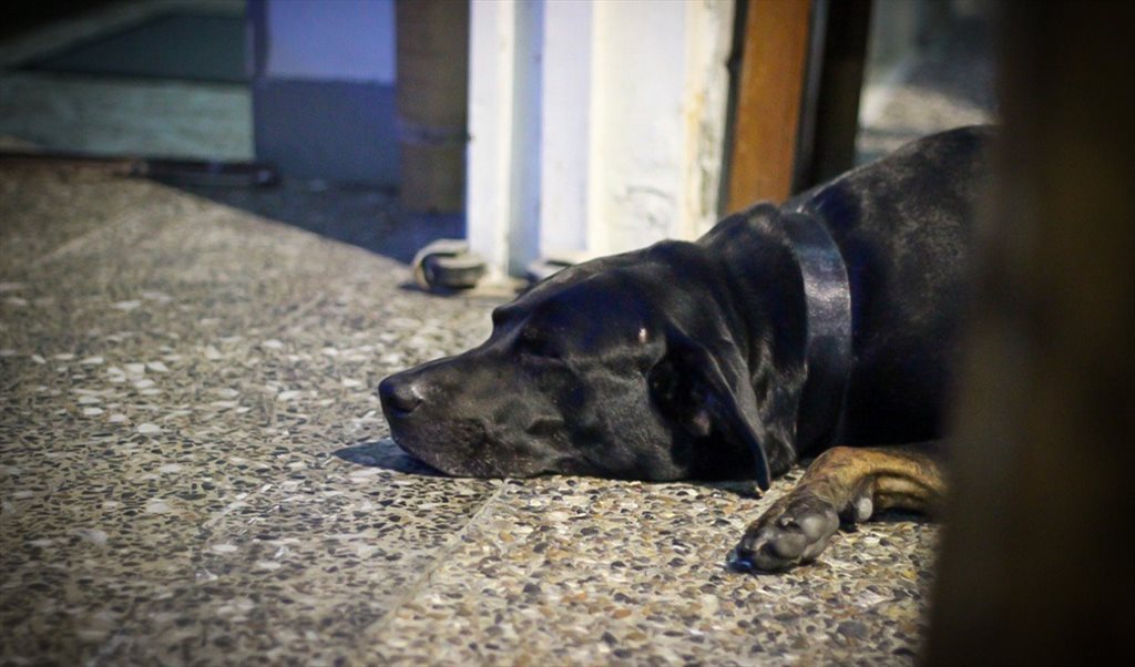 Habitacion en arriendo en Calle 48B, Estadio -  Casa Almarita – Hospedaje en Medellín | CompartoApto - Image 2