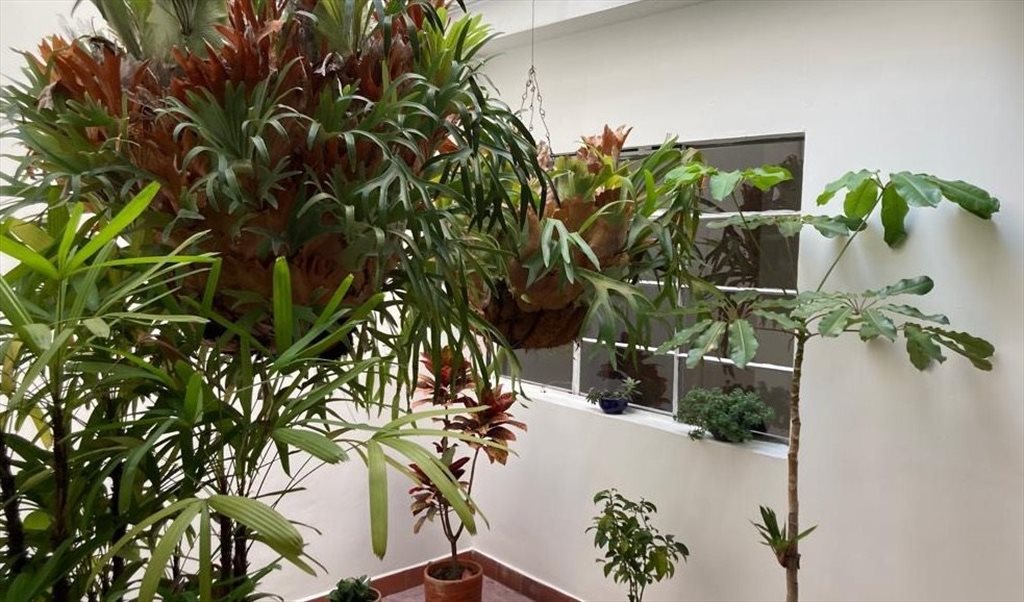 Habitacion en arriendo en Carrera 87, Floresta - Casa América | CompartoApto - Image 4