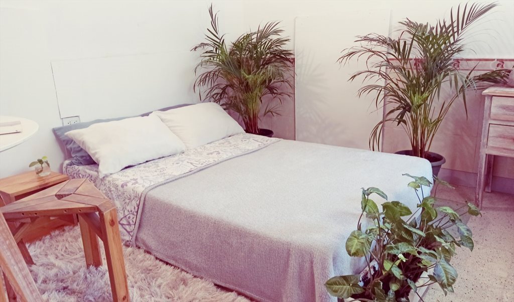 Habitacion en arriendo en Calle 45E, Los Pinos - Serenidad y naturaleza | CompartoApto - Image 3