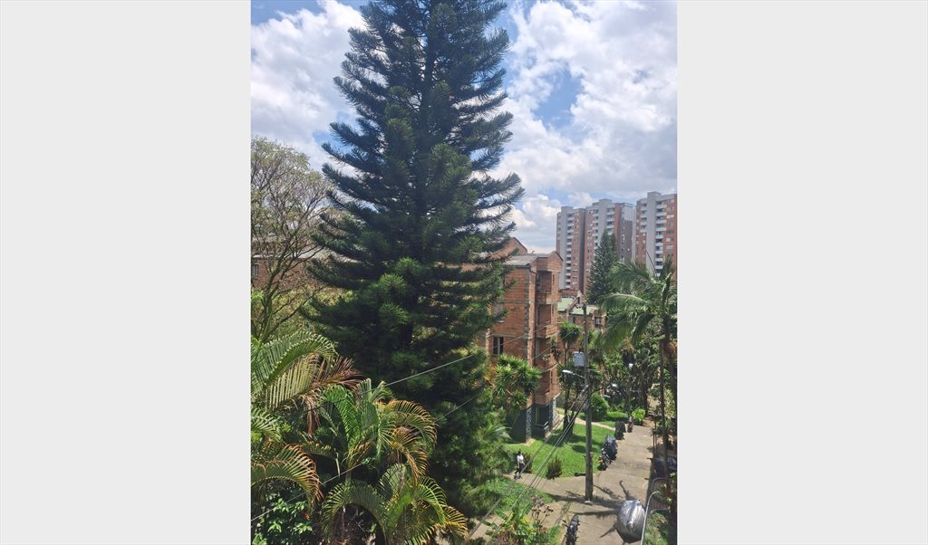 Habitacion en arriendo en Carrera 42B, Loma del Barro - Señorial Envigado | CompartoApto - Image 8