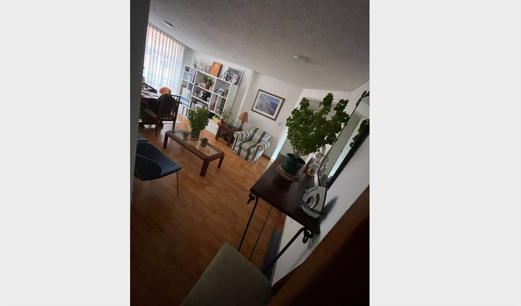 Habitacion en arriendo en Calle 144, Acacias Usaquén - Se arrienda habitación | CompartoApto - Image 5