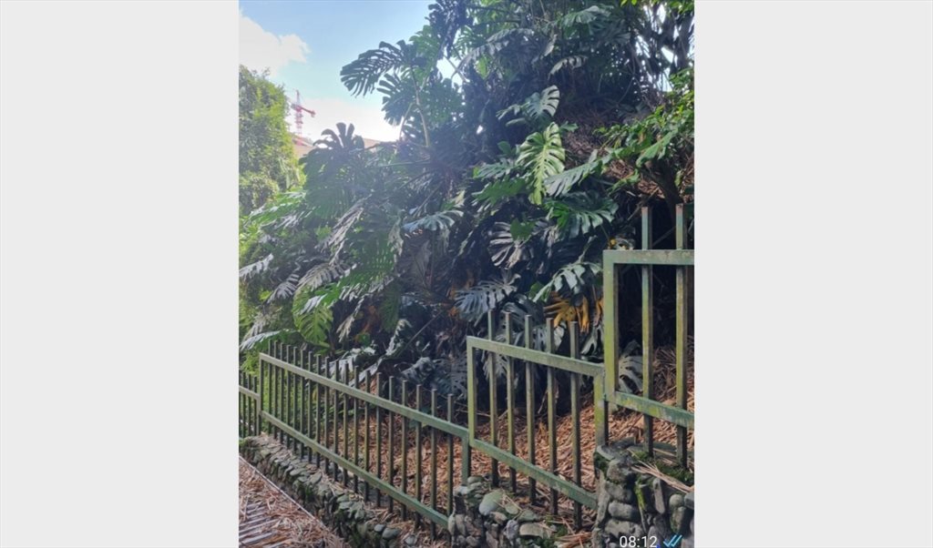 Habitacion en arriendo en Calle 15A, Lalinde - Habitación amoblada en Poblado cerca a transversal Inferior. | CompartoApto - Image 2