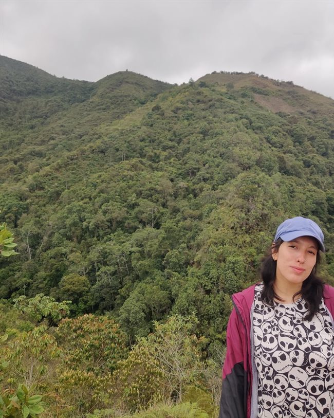 Paula - Profesional - Mujer - Medellín - Image 1