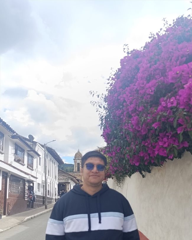 Andres - Profesional - Hombre - Bogotá - Image 2