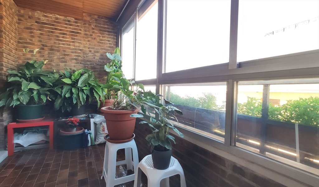 Piso Compartido en Calle de Eduardo Benot, Moncloa-Aravaca - peaceful room.    IG: danilo.magister | Roomgo - Image 4