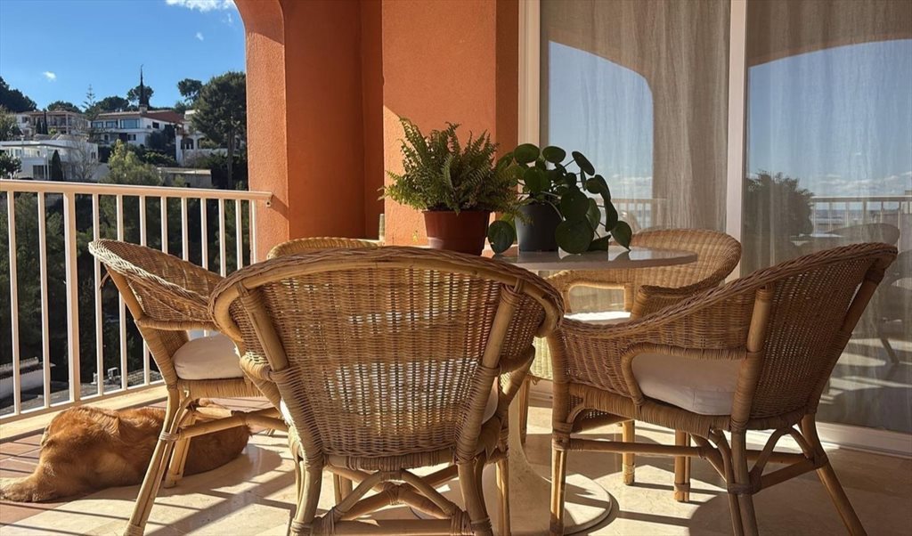 Piso Compartido en Carrer de Robert Graves, Palma - Habitación en amplio apartamento con vistas al mar. | Roomgo - Image 7